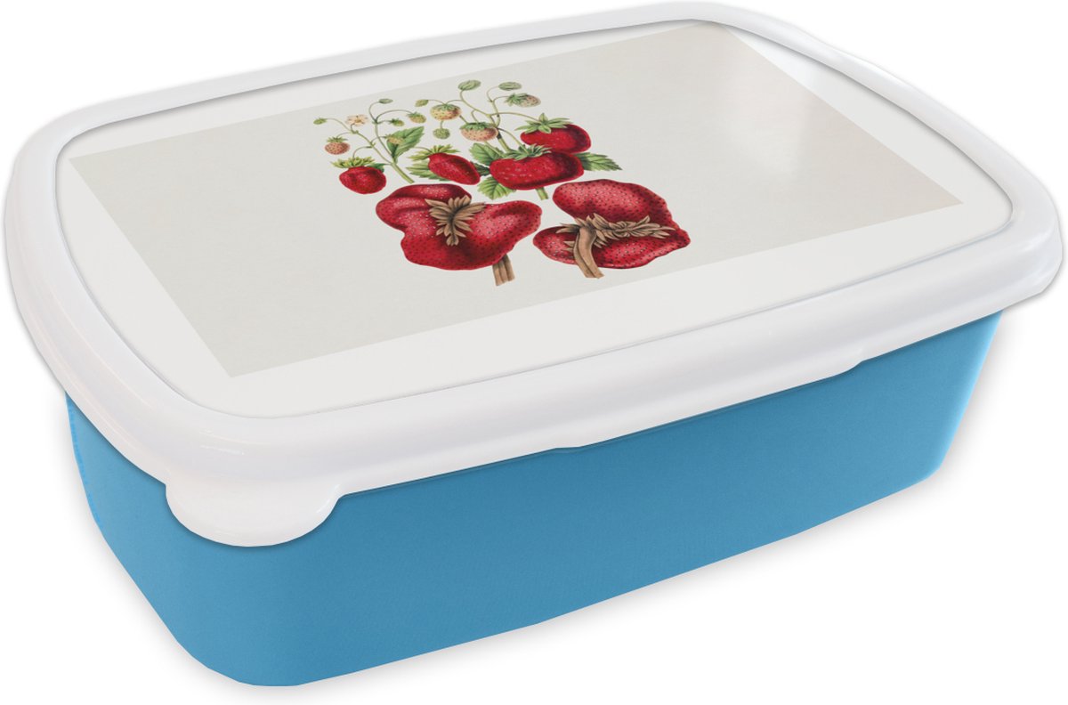 Broodtrommel Blauw - Lunchbox - Brooddoos - Aardbeien - Fruit - Plant - 18x12x6 cm - Kinderen - Jongen