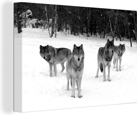 Canvas Schilderij Roedel wolven in Canada - zwart wit - Wanddecoratie