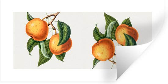 Muurstickers - Sticker Folie - Sinaasappel - Bladeren - Fruit - 120x60 cm - Plakfolie - Muurstickers Kinderkamer - Zelfklevend Behang - Zelfklevend behangpapier - Stickerfolie