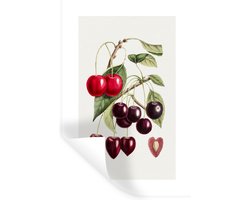 Foto: 