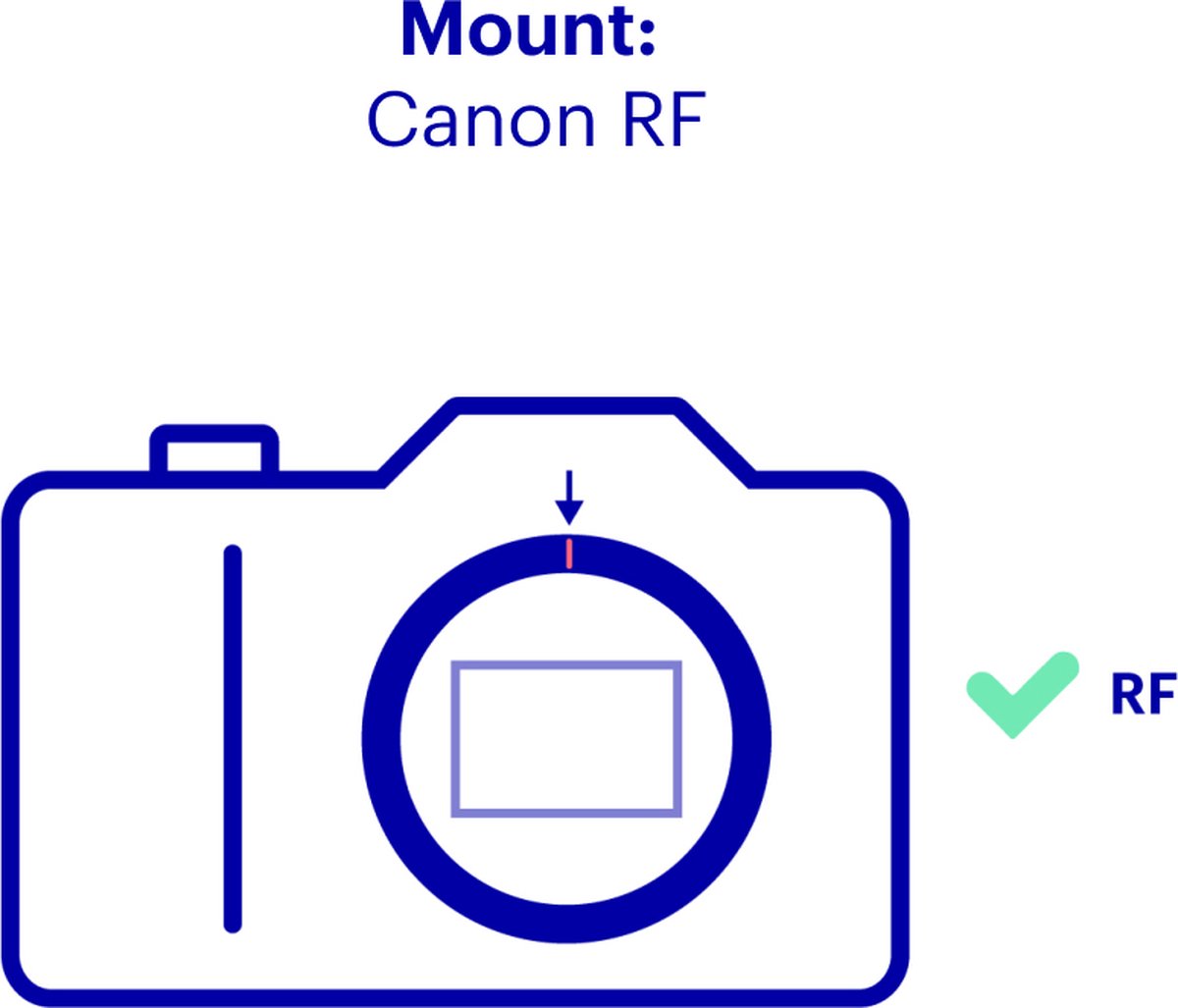 Canon RF - 100-500mm F4.5-7.1 - L - IS USM thumbnail 3