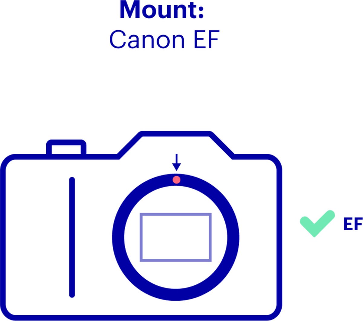 Canon EF 50mm f/1.8 STM - Cameralens thumbnail 3