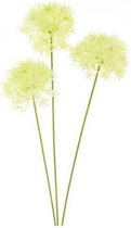 kunstplant Allium Bobo 64 cm zijde wit 3 stuks