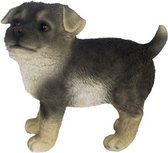 herder puppy staand 20,6 cm polyresin grijs