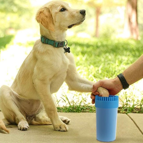 BluePet