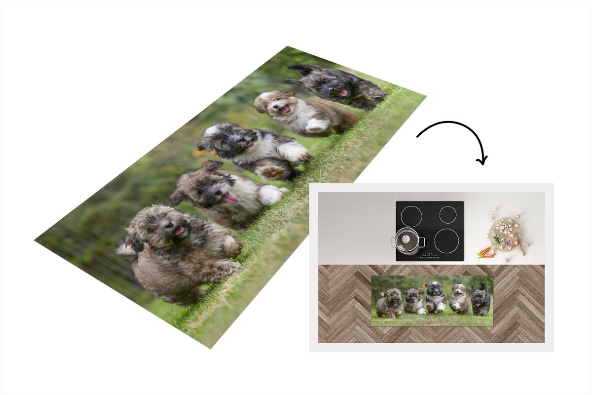KitchenYeah Keukenloper - Loper keuken - Puppy's - Honden - Dieren - Keukenloper vinyl Multicolor