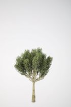 Kunstplant Round pine - topkwaliteit decoratie - Groen - zijden tak - 25 cm hoog