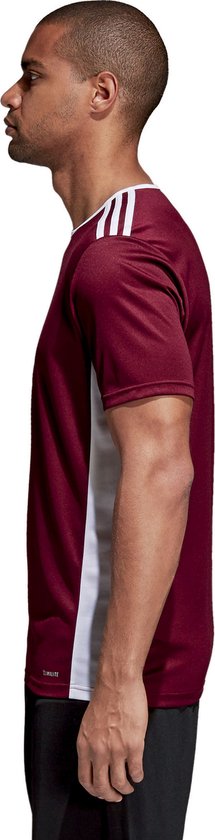 adidas sportshirt heren