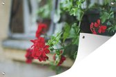 Tuindecoratie Hangende rode geranium - 60x40 cm - Tuinposter - Tuindoek - Buitenposter