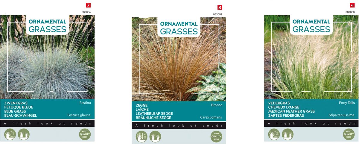 Cactula set van 3 soorten bijzondere graszaden | Grasses Chinees prachtriet 'New Hybrids' | Lampenpoetsersgras | Parelgras