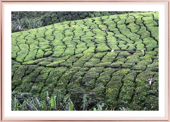 Poster Met Lijst - Cameron Highlands Poster (21x30cm)