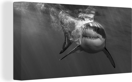 Canvas Schilderij Haai onder water - zwart wit - 80x40 cm - Wanddecoratie