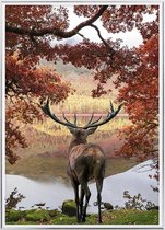 Poster Met Metaal Zilveren Lijst - Red Deer Poster