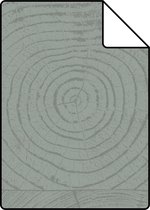 Proefstaal Origin Wallcoverings behang dwarsdoorsnede boomstam lagunegroen - 347547 - 26,5 x 21 cm
