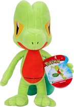 Pokemon Pluche 20cm Treecko