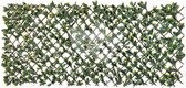 Wilgen tuinafscheiding klimrek met ligusterblad - 90 x 180 cm