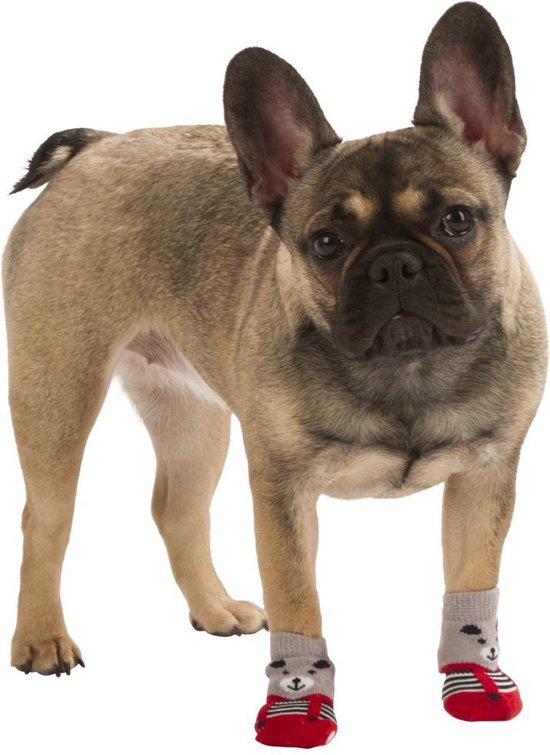 Anti-Slip Huisdier Sokken - Voor Honden - Hondenlaarzen - Pootbeschermers -  Waterdicht... | bol.com