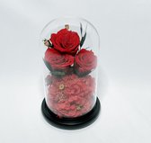 Echte rozen in glazen stolp - Valentijns cadeau - Geschenk - Huwelijks geschenk - Moederdag Cadeau - Longlife rozen - Geconserveerde roos 2 tot 3 jaar houdbaar -2 tot 3 jaar houdba
