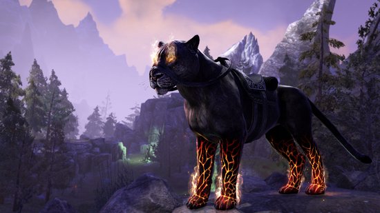 Bethesda The Elder Scrolls Online : Summerset, M (Volwassen)