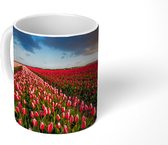 Mok - Koffiemok - Kleurrijke tulpen in Nederlands landschap - Mokken - 350 ML - Beker - Koffiemokken - Theemok