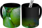 Magische Mok - Foto op Warmte Mok - Donkere close-up foto van guave op een boom - 350 ML - Uitdeelcadeautjes