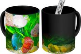 Magische Mok - Foto op Warmte Mokken - Koffiemok - Vissen in een aquarium - Magic Mok - Beker - 350 ML - Theemok