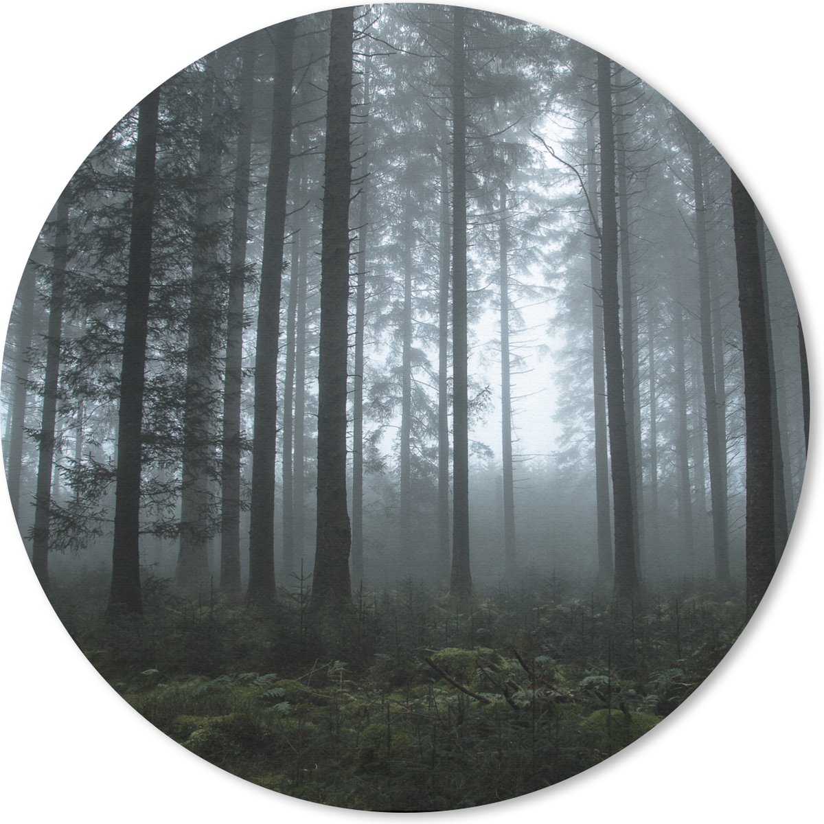 Muismat rond 50x50 cm - Mousepad Bos - Licht - Mist - Ronde muismatten