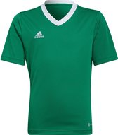 adidas - Entrada 22 Jersey Youth - Groene Voetbalshirt -128