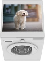 Wasmachine beschermer mat - Een Golden Retriever puppy lopend op de stoep - Breedte 55 cm x hoogte 45 cm