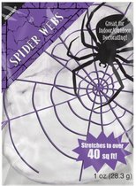 decoratie spinnenweb 25 x 18 cm wit