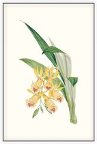 Orchidee Aquarel 2 (Orchid) - Foto op Akoestisch paneel - 60 x 90 cm