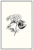 Kornoelje zwart-wit plus (Dogwood) - Foto op Akoestisch paneel - 100 x 150 cm