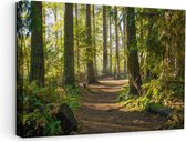 Artaza - Peinture Sur Toile - Sentier Dans La Forêt - 60x40 - Photo Sur Toile - Impression Sur Toile