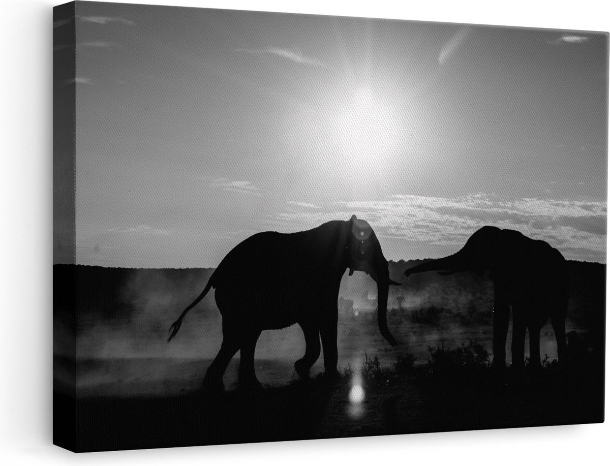 Artaza Canvas Schilderij Olifant - 60x40 cm - Wanddecoratie Dieren - Muurdecoratie Afrika