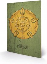 Merchandising GAME OF THRONES - Printing on wood 40X59 - Tyrell