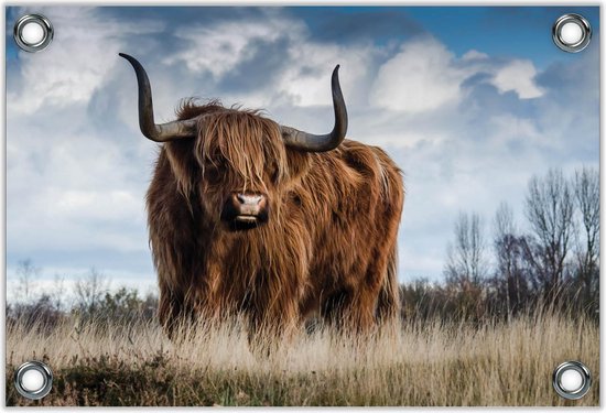 Tuinposter –Oss in de natuur – 90x60 Foto op Tuinposter (wanddecoratie voor buiten en binnen)