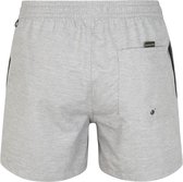 Quiksilver Everyday 15'' Boardshort - Sleet Heather