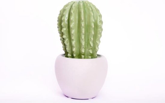 Cactus céramique 28 cm - Vert clair | bol.com