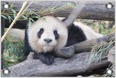 Tuinposter –Panda op Houten Balken– 120x80 Foto op Tuinposter (wanddecoratie voor buiten en binnen)