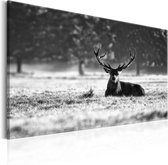 Schilderijen Op Canvas - Schilderij - Lying Deer 90x60 - Artgeist Schilderij