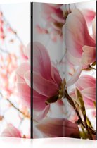 Kamerscherm - Scheidingswand - Vouwscherm - Pink magnolia [Room Dividers] 135x172 - Artgeist Vouwscherm