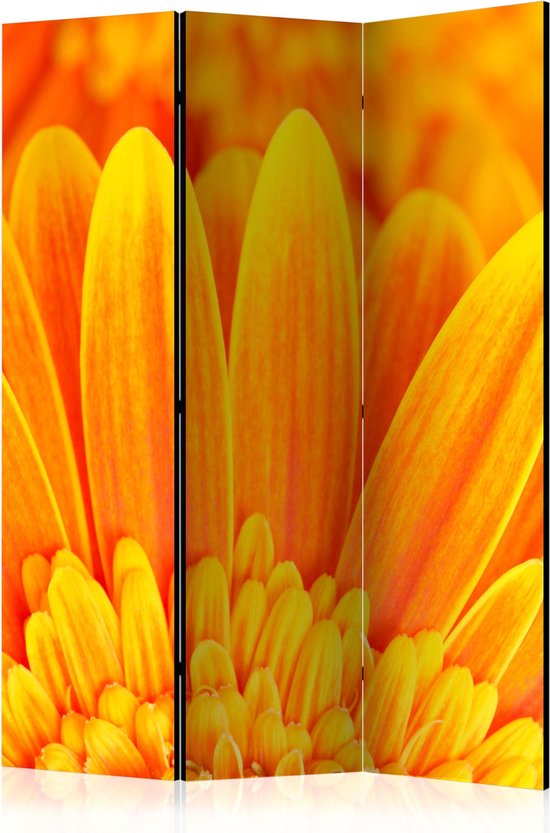 Kamerscherm – Scheidingswand – Vouwscherm – Yellow gerbera daisies [Room Dividers] 135×172 – Artgeist Vouwscherm