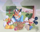 Disney Poster Mickey Picknick Junior 50x40 Cm Papier