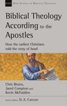 New Studies in Biblical Theology - Biblical Theology According to the Apostles