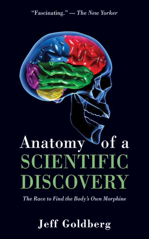 Anatomy of a Scientific Discovery - cover