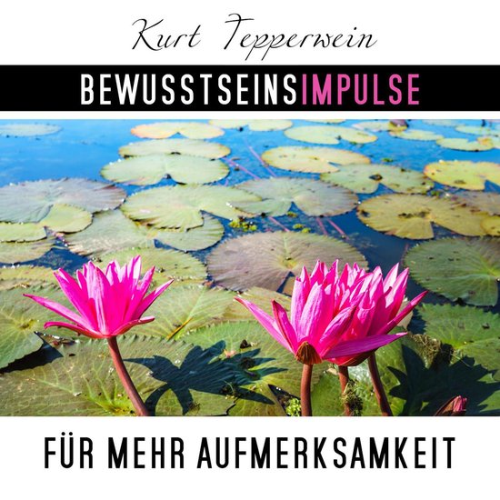 Bewusstseinsimpulse für mehr Aufmerksamkeit - cover