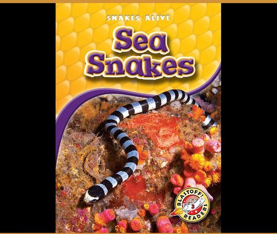 Sea Snakes