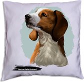 American English Coonhound pillow 40 x 40cm