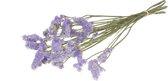Droogbloem Statice lila