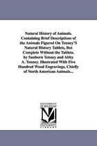 Natural History of Animals. Containing Brief Descriptions of the Animals Figured on Tenney's Natural History Tablets, But Complete Without the Tablets. by Sanborn Tenney and Abby A